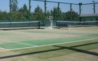 ＜神奈川県＞ わかばテニススクール